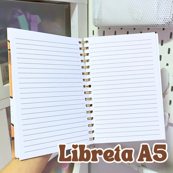 Papelería Capibara Kawaii Box De Regalo Capybara Tamaño Xl