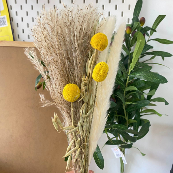 Ramo De Flores Secas Naturales Boho Mixtas