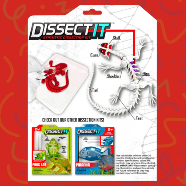 Juego De Laboratorio Disección Animales Sintético Stem