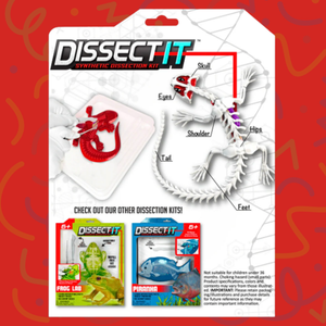 Juego De Laboratorio Disección Animales Sintético Stem