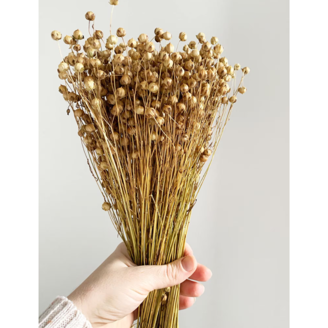 Flores Secas Naturales Boho Set 3 Ramos