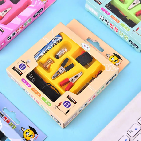 Circuito Eléctrico Escolar Didáctico Manualidad De Ciencias