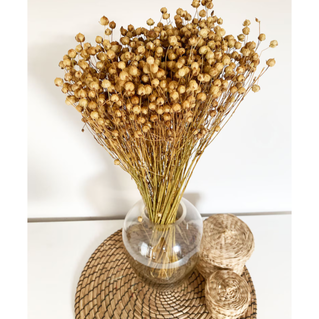 Flores Secas Naturales Boho Set 3 Ramos