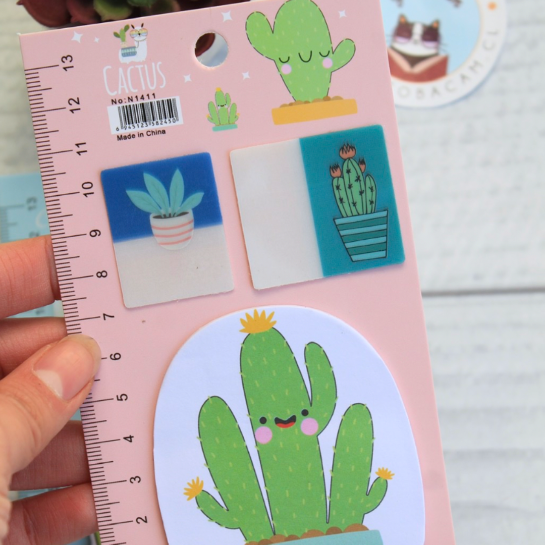 Set De Notas Adhesivas De Cactus Kawaii