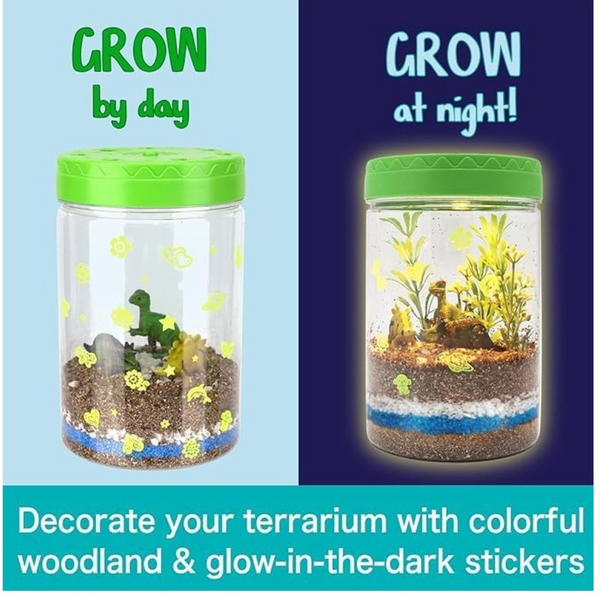 Terrario Dinosaurio Experimentos Para Niños Proyecto Plantas