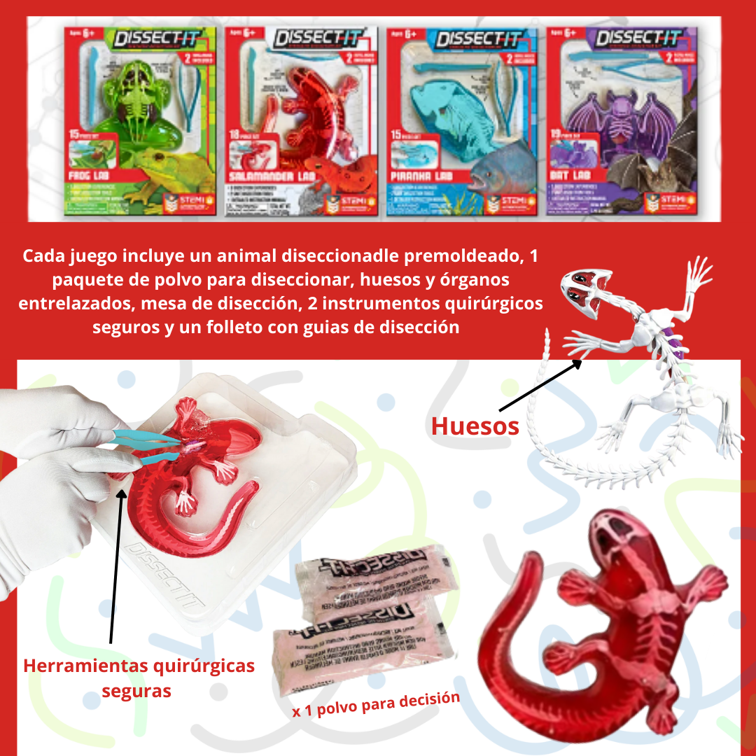 Juego De Laboratorio Disección Animales Sintético Stem