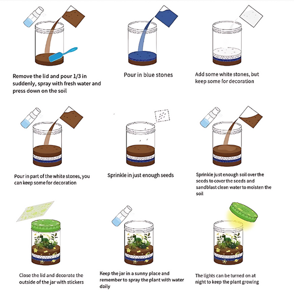 Terrario Dinosaurio Experimentos Para Niños Proyecto Plantas