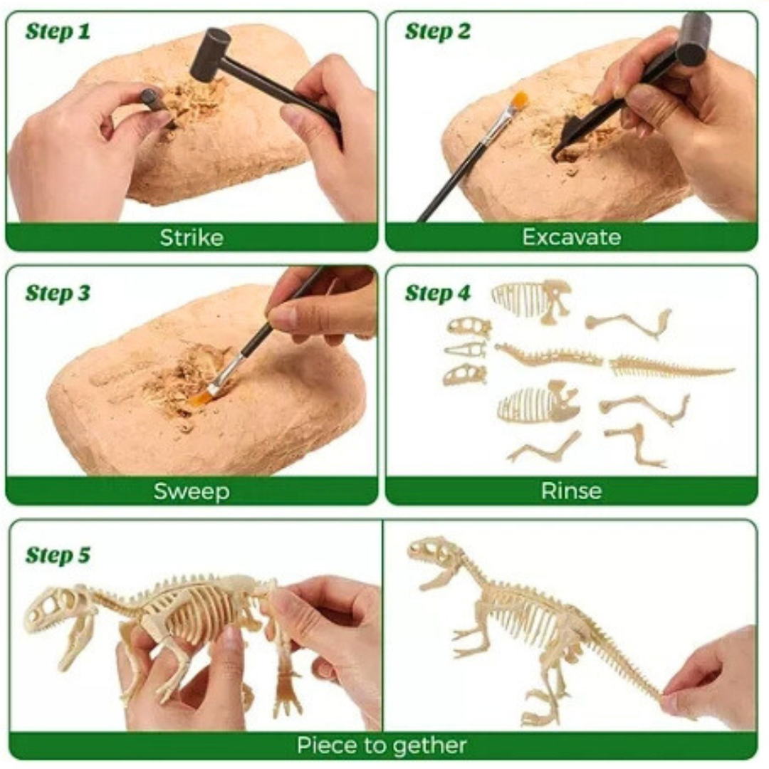 Kit Arqueólogo Excavación Fósil Dinosaurio Armable