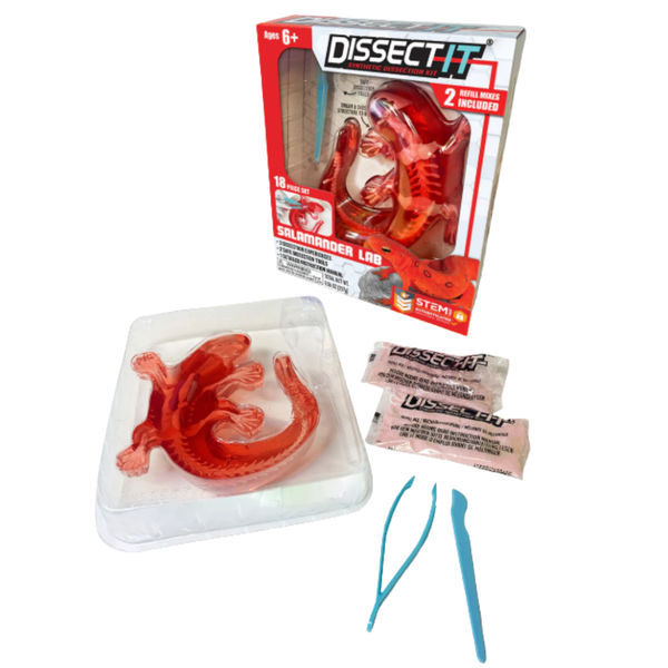 Juego De Laboratorio Disección Animales Sintético Stem