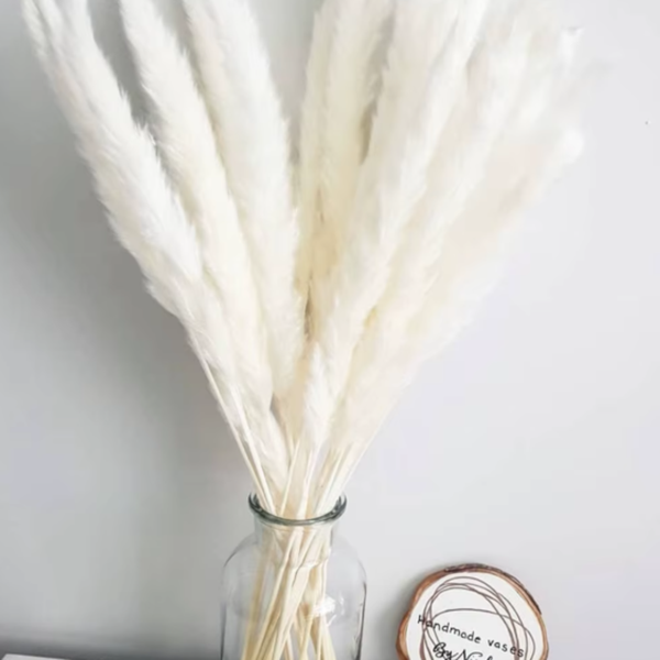 Flores Secas Naturales Boho Set 3 Ramos