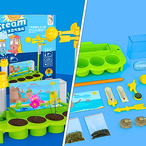 Kit Ciencia Para Niños Proyecto De Plantas Y Clima