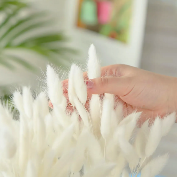 Flores Secas Naturales Boho Set 3 Ramos