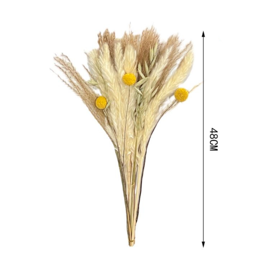 Ramo De Flores Secas Naturales Boho Mixtas