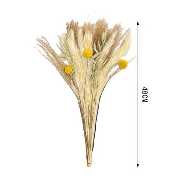 Ramo De Flores Secas Naturales Boho Mixtas