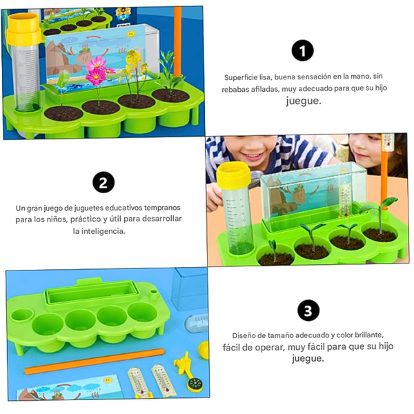 Kit Ciencia Para Niños Proyecto De Plantas Y Clima