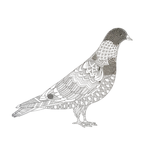 Mandalas Para Colorear + Lápices Tiralinea 12 Colores