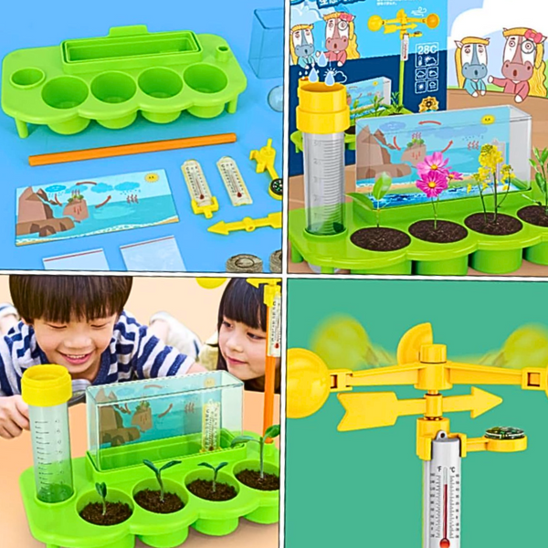 Kit Ciencia Para Niños Proyecto De Plantas Y Clima