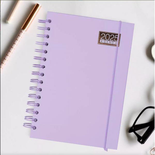 Agenda 2025 En Colores Pastel Diseño Kawaii 22 X 15 Cm