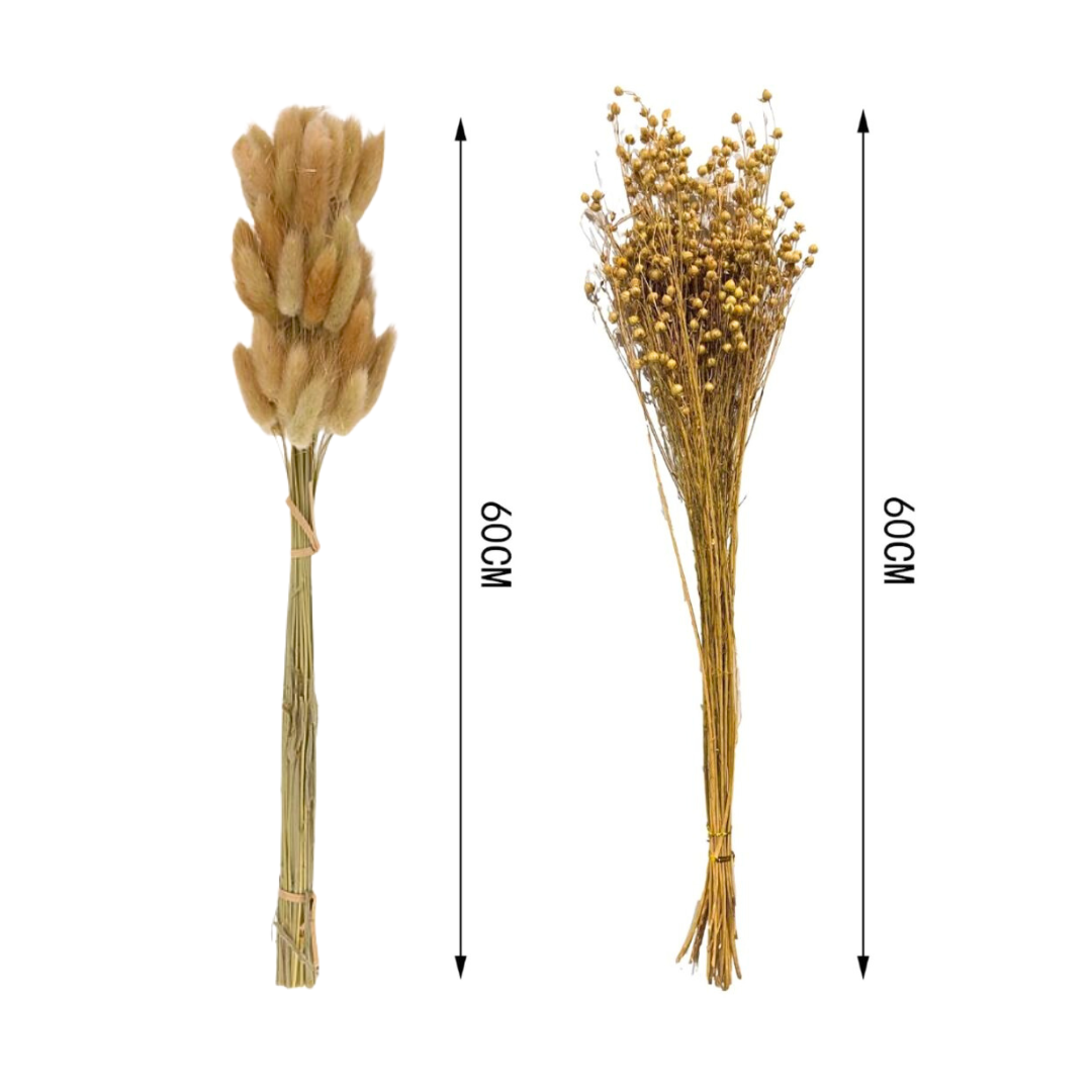 Flores Secas Naturales Boho Set 3 Ramos