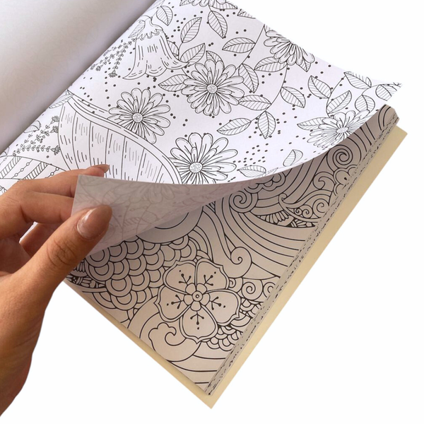 Libro Mándala Florales + 12 Plumones Doble Punta Fina/gruesa