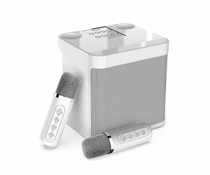 Parlante Bluetooth Karaoke Portátil Screamer Dos Micrófonos