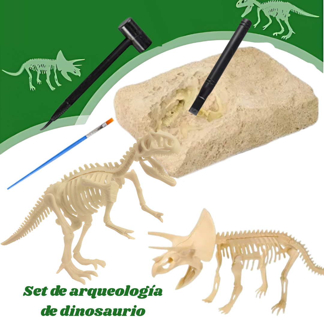 Kit Arqueólogo Excavación Fósil Dinosaurio Armable