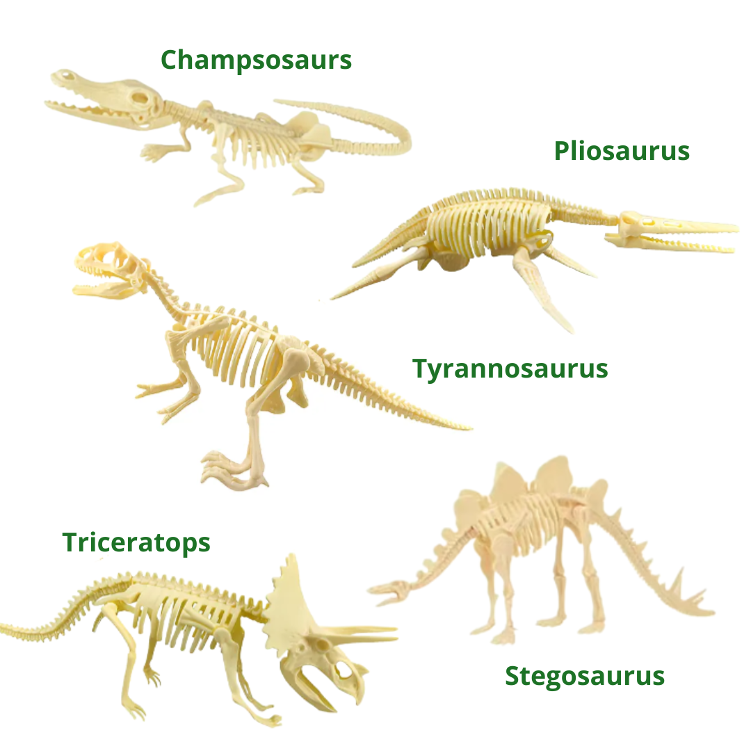 Kit Arqueólogo Excavación Fósil Dinosaurio Armable