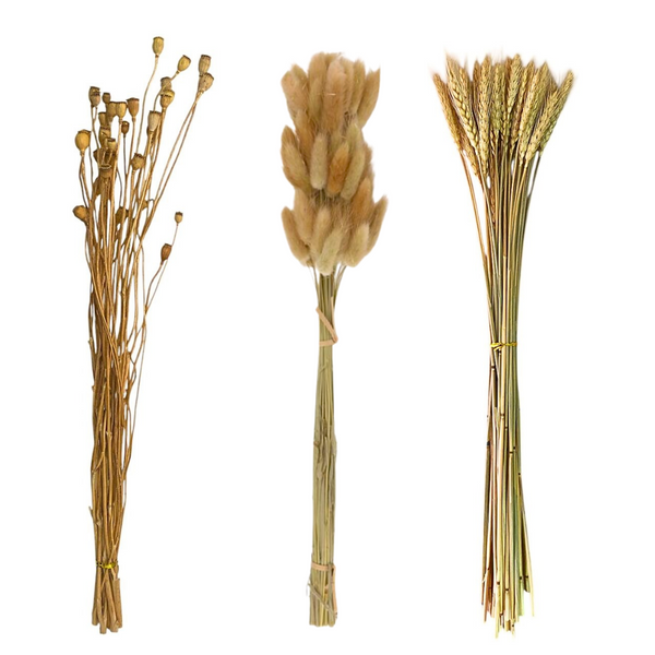 Flores Secas Naturales Boho Set 3 Ramos