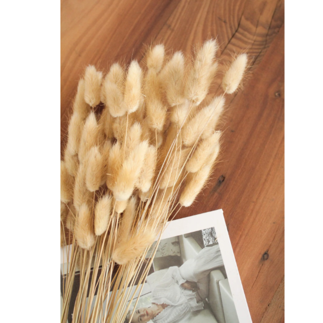 Flores Secas Naturales Boho Set 3 Ramos