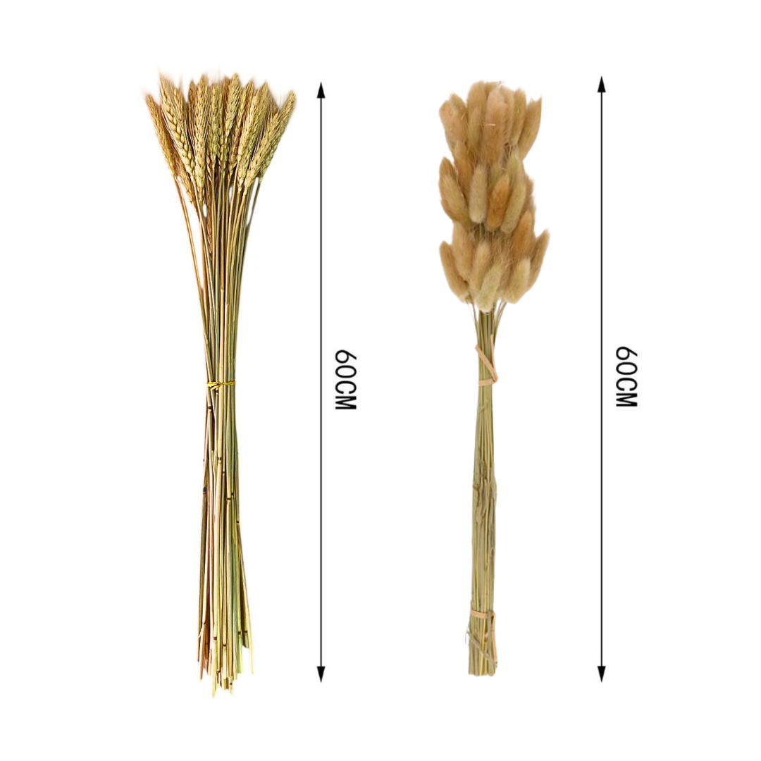 Flores Secas Naturales Boho Set 3 Ramos